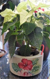 Pflanztopf "Hibiskus"
