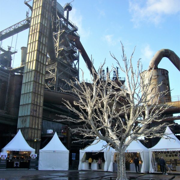 Lichtermarkt 2022_12